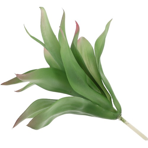Piante artificiali - ,