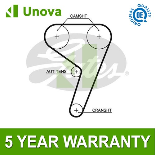 Cinghia distribuzione unova - cinghia,