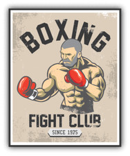 Adesivo decalcomania paraurti