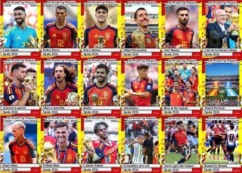 Spain world cup final winners - spain,
