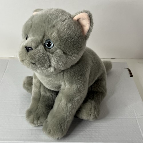 Peluche gatto grigio british - peluche,