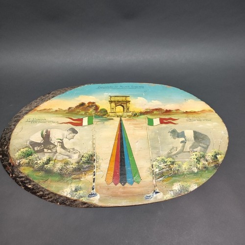 Sezione tronco legno per - di,