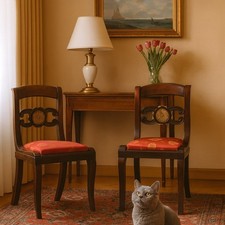 Antiche Sedie Direttorio Noce