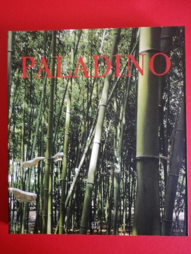 Mimmo paladino cura - paladino,, di