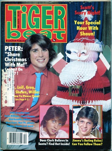 Mag tiger beat magazine - tiger,