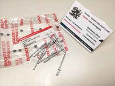 73640121A Originale Ducati x10 rivetto a strappo 3x8 cupolino rivet