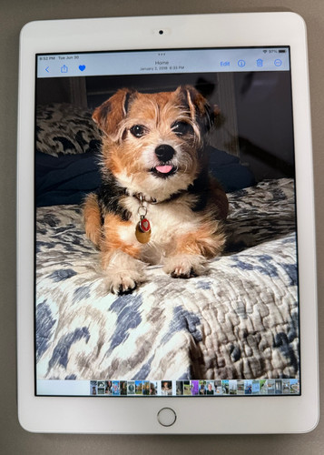 Apple ipad generazione - apple, 5a