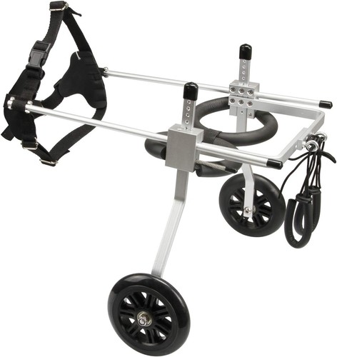 Sedia rotelle mobilità - sedia,
