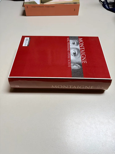Montaigne vita pensiero - montaigne,