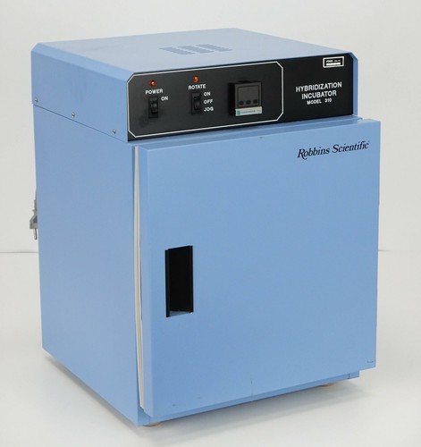 Incubatrice ibridazione