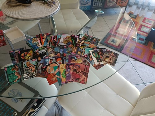 Wildstorm lingeri set completo - wildstorm,
