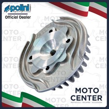 TESTA POLINI MODELLO EVOLUTION