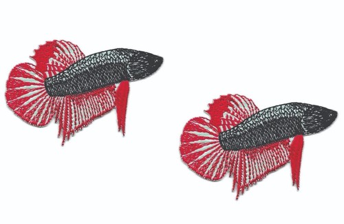 Toppa pesce betta rossa - pesce,