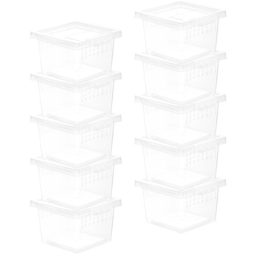10pcs clear insect board - ,