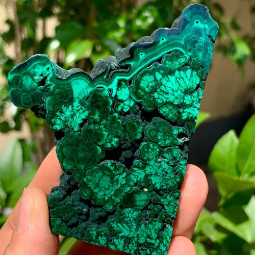 Esemplare minerale malachite
