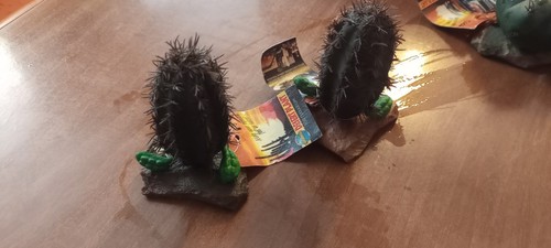Cactus terrario rettili 1 - rettili,