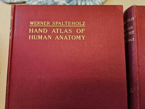 Spalteholz hand atlas the - spalteholz, of