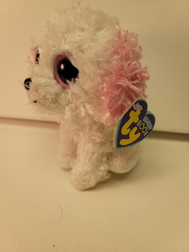 Beanie boos diva bichon - beanie,