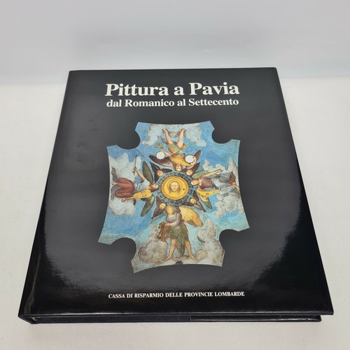 Libro book pittura pavia dal - book,
