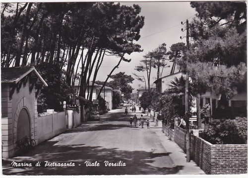Marina pietrasanta lucca - pietrasanta,