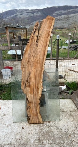 Tavola legno ulivo 172 x - 172,