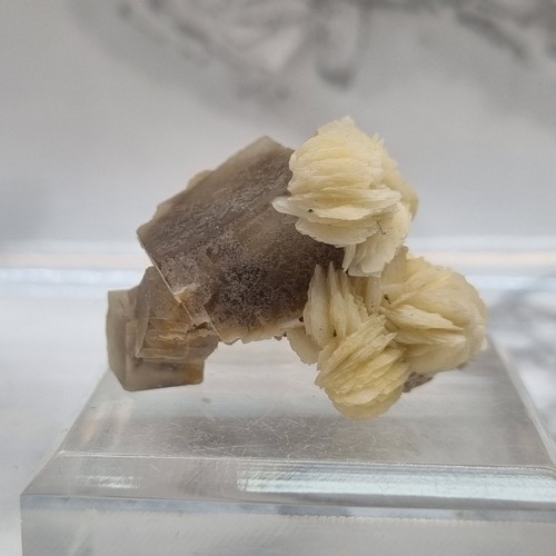 Minerali fluorite con barite - con,