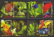 Romania 2005 Pesce Tropicale Natura Pesce Rosso Acqua Dolce Discus Animali 4v Set MNH