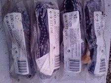 Set Da 2 Corde Elastiche Con Gancio 100/117cm 4Pz