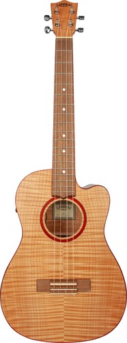 Ukulele elettrico baritono