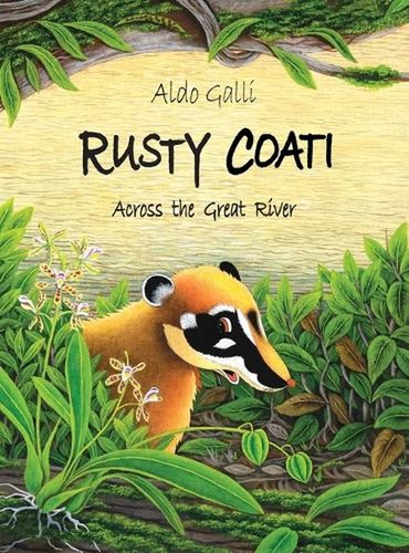 Rusty coati across the great - across,