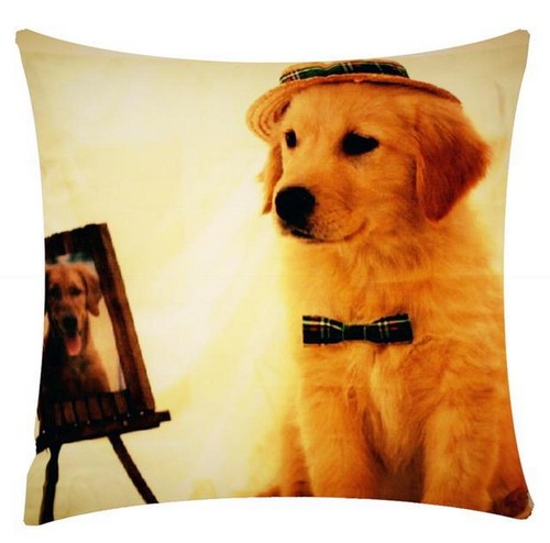 Posa cane labrador - in,