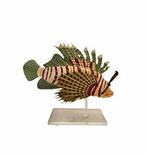 Statuina pesce leone tropicale