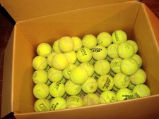 100 palle palline da tennis usate ma integre per gioco cani
