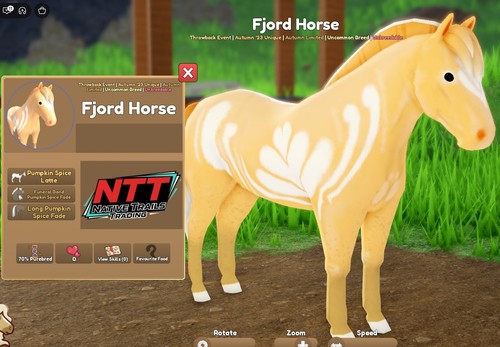 Wild horse islands - horse,
