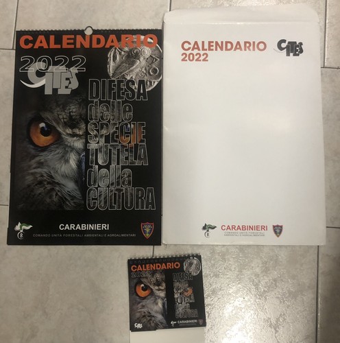 Calendario carabinieri cites - carabinieri,
