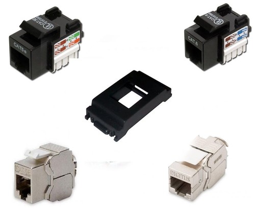 Presa rete cat 5 6 - -,