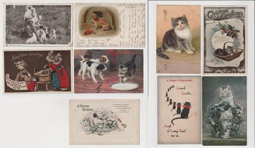 Cats and dogs - and,