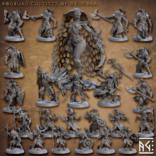 Artisan Guild Miniature D&D/wargames Rodburg Cultist of Melmora resina 3d print