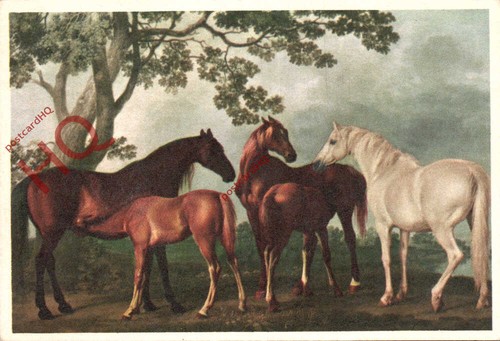 Picture postcard george - picture,