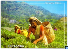 Cartoline Sri Lanka