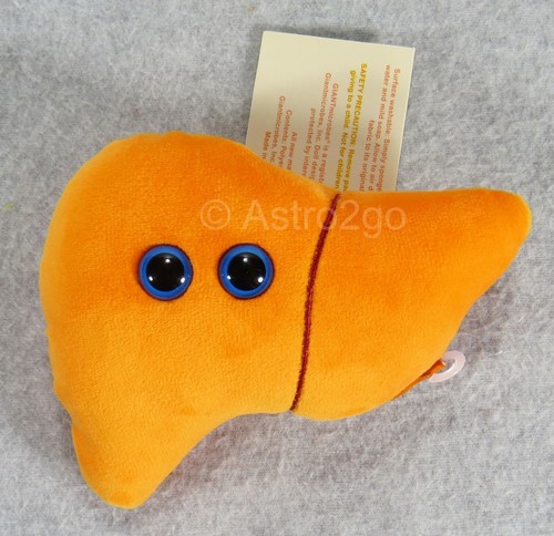 Giant microbes liver - giant, microbes-liver-stuffed