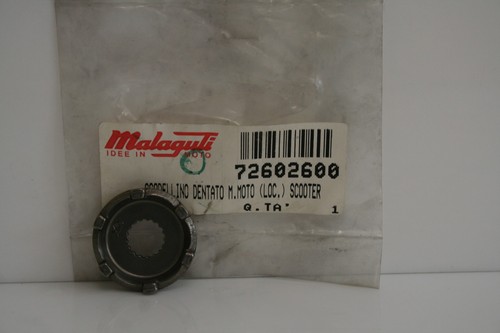Scodellino dentato messa - , in