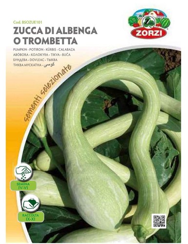 Semi zucca albenga o - zucca,