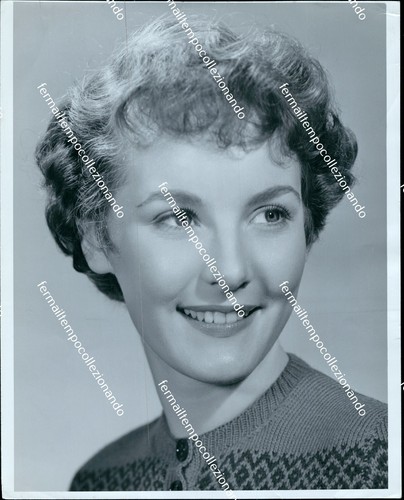 Bn4 foto originale - originale, petula