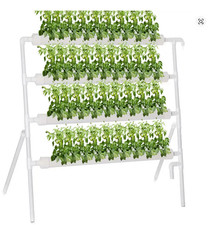 Kit di coltivazione del sito