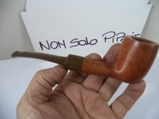 pipa pipe lorenzo nouvelle