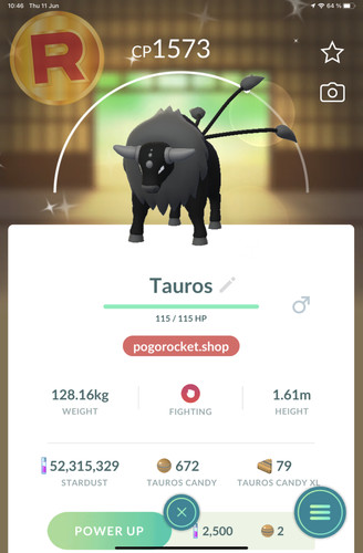 Shiny paldean tauros - paldean,