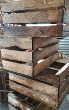 Set 3 cassette frutta nuove in