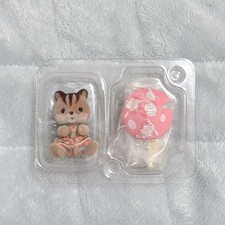 Fungo scoiattolo serie