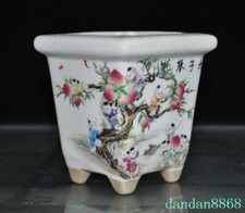 Pianta bonsai 4,4" porcellana